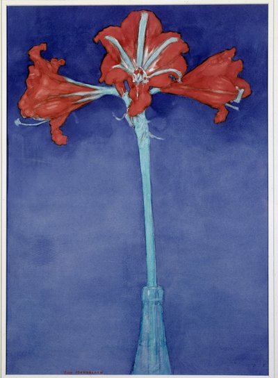 Amaryllis door Piet Mondrian